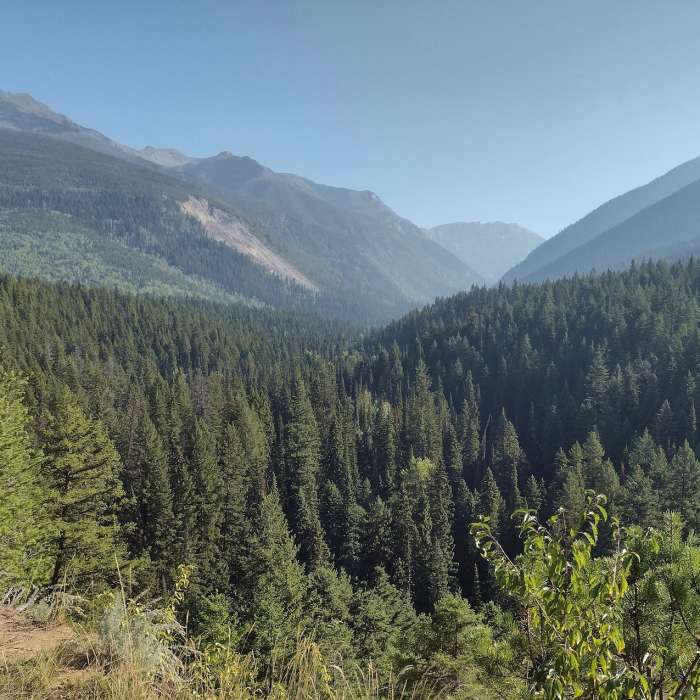 Near Swift Creek Lookout Hike