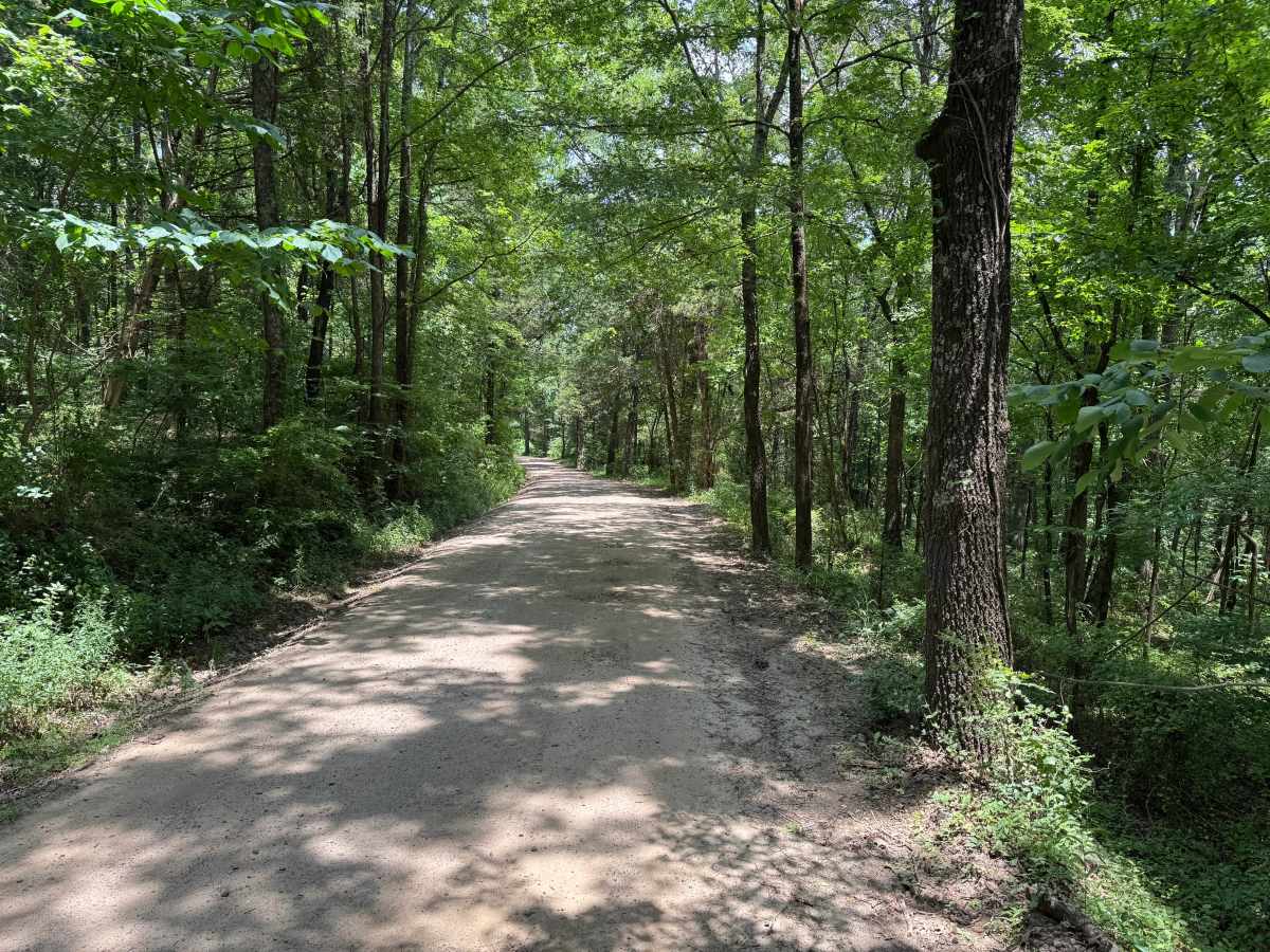 Millsap trail photo