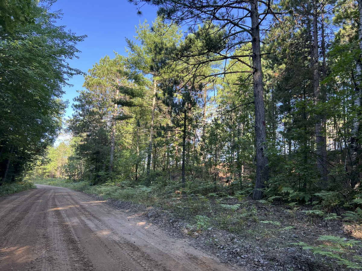 Westman Dam Road photo 4