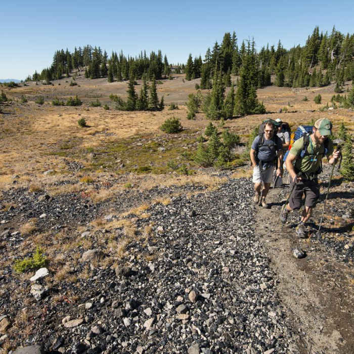 Near Three Sisters Wilderness Westside Hike