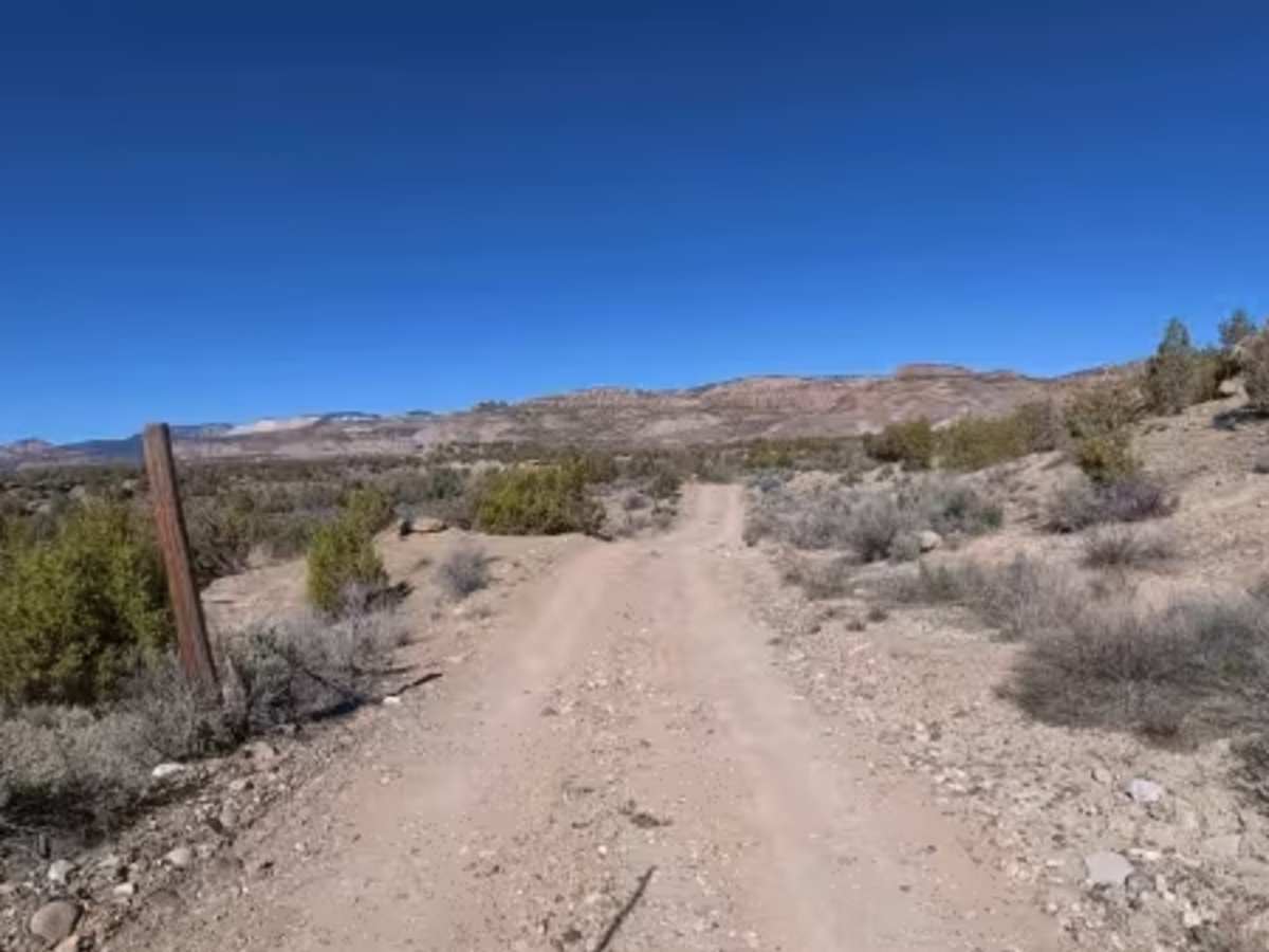 BLM 281 photo 2
