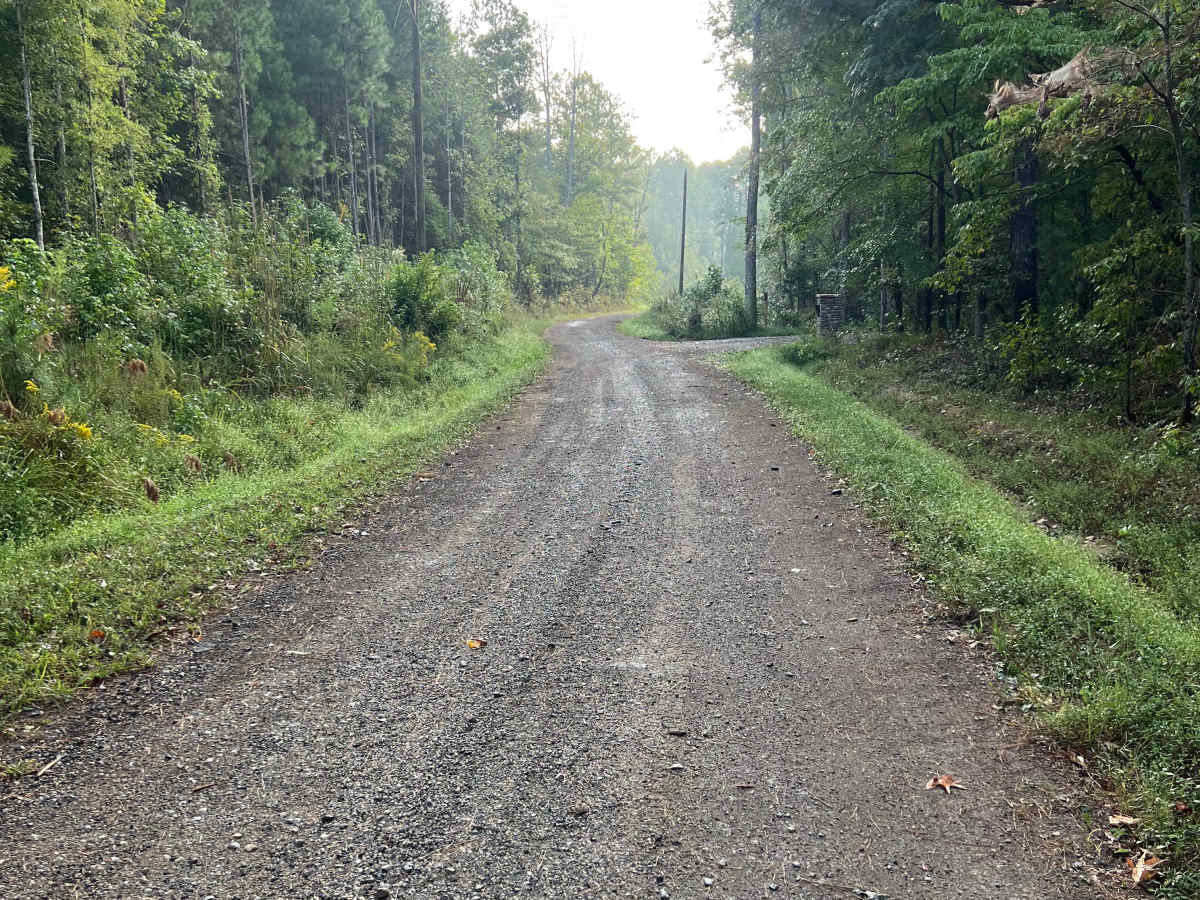 Reo Road trail photo