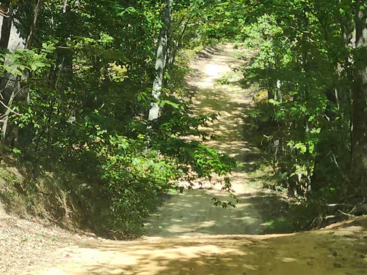 Short Creek Loop Road photo 4