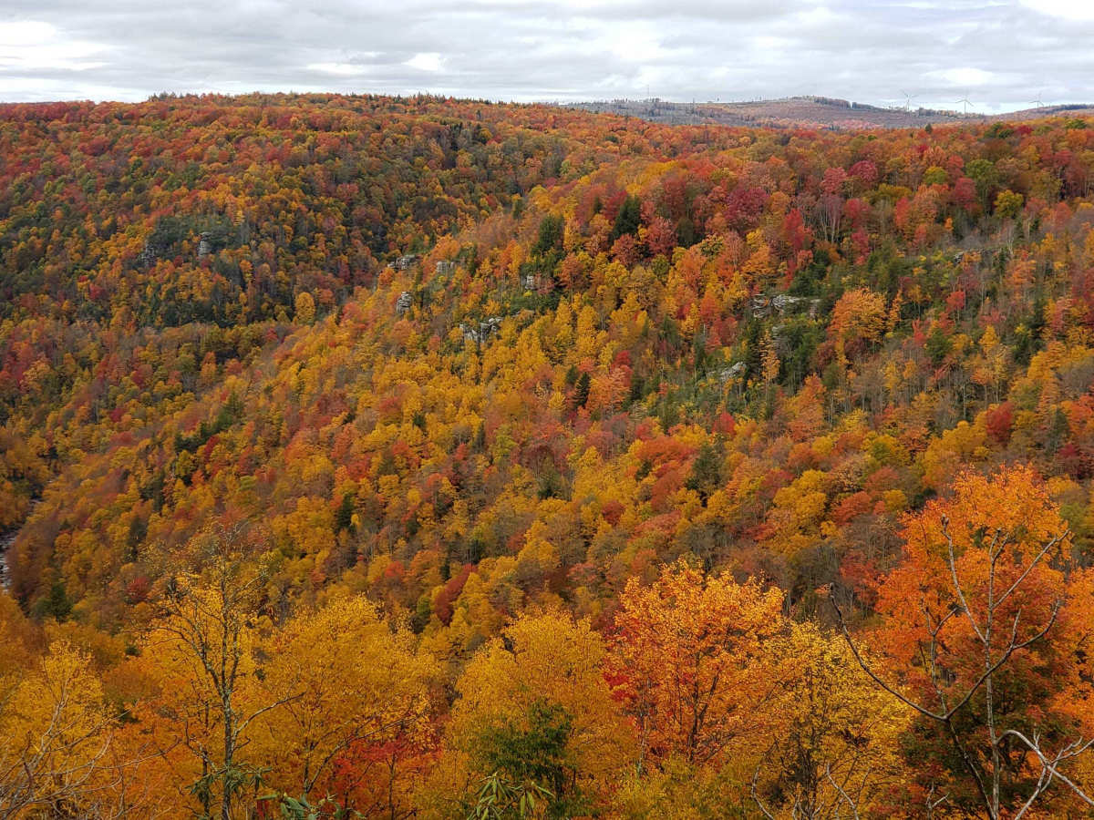 Canaan Loop photo 6