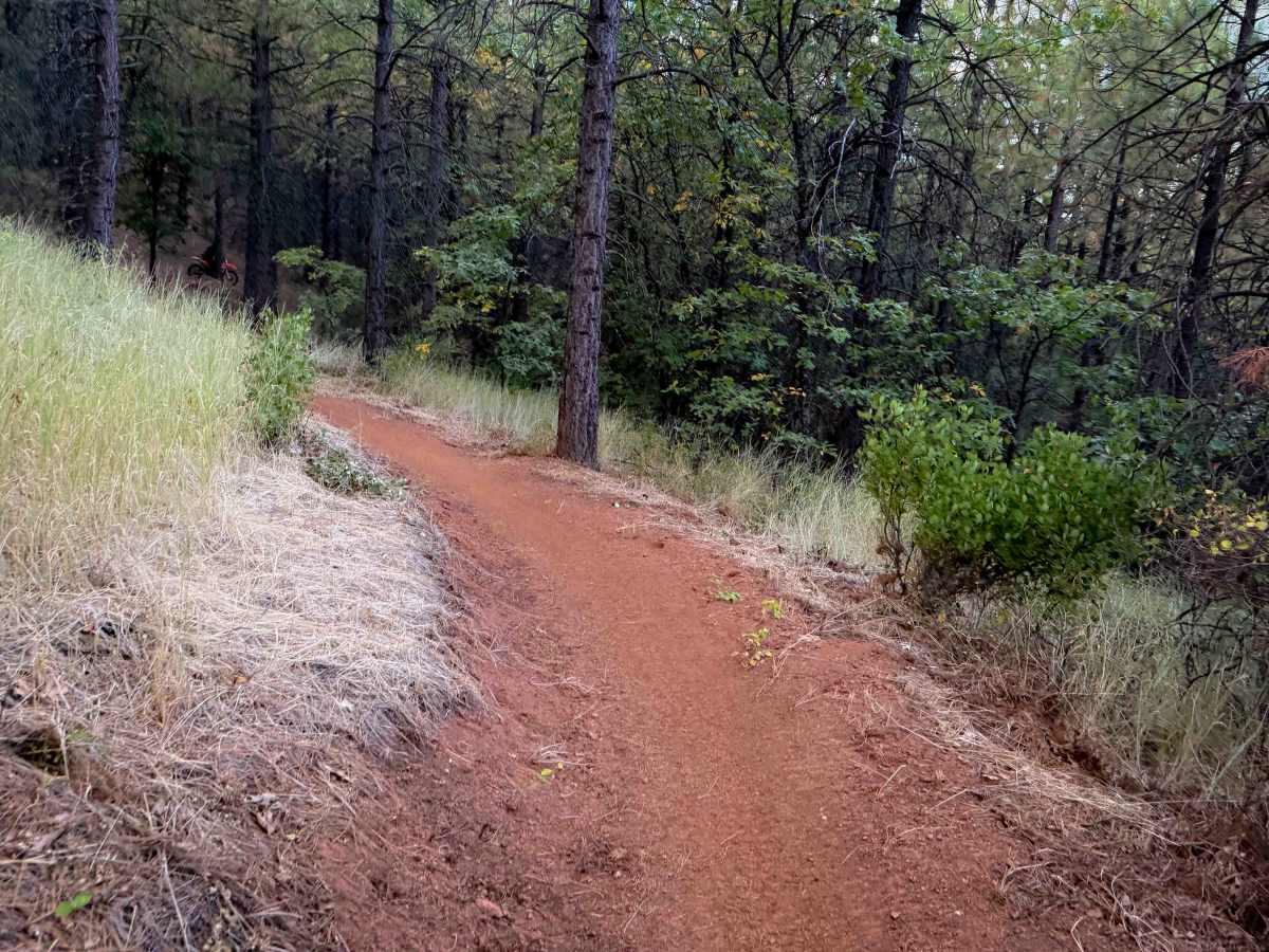 Berry Creek Tie  photo 3