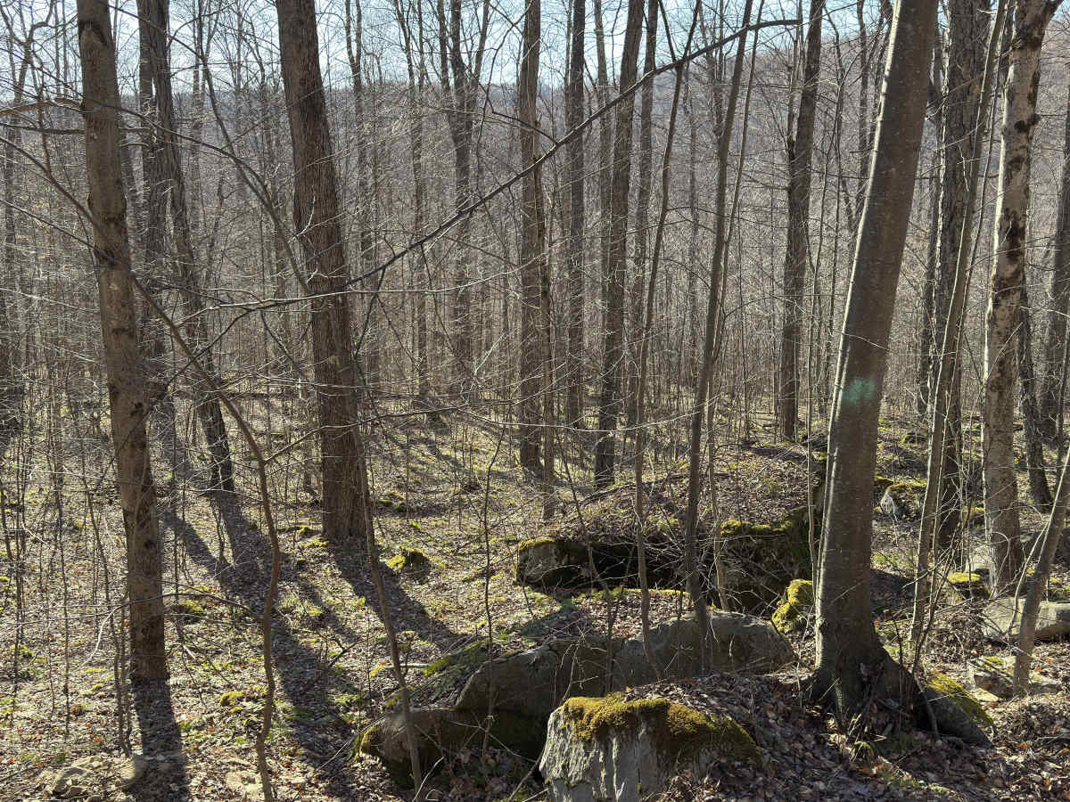Camp Run - FS 504 photo 2
