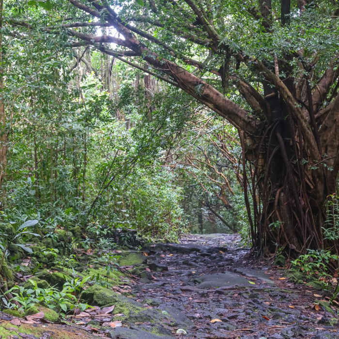 Near Ha'ena Beach / Shipman Beach via Puna Coastal Trail