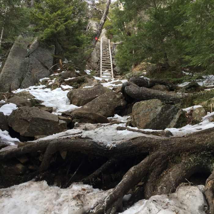 Near Crane Mountain Path