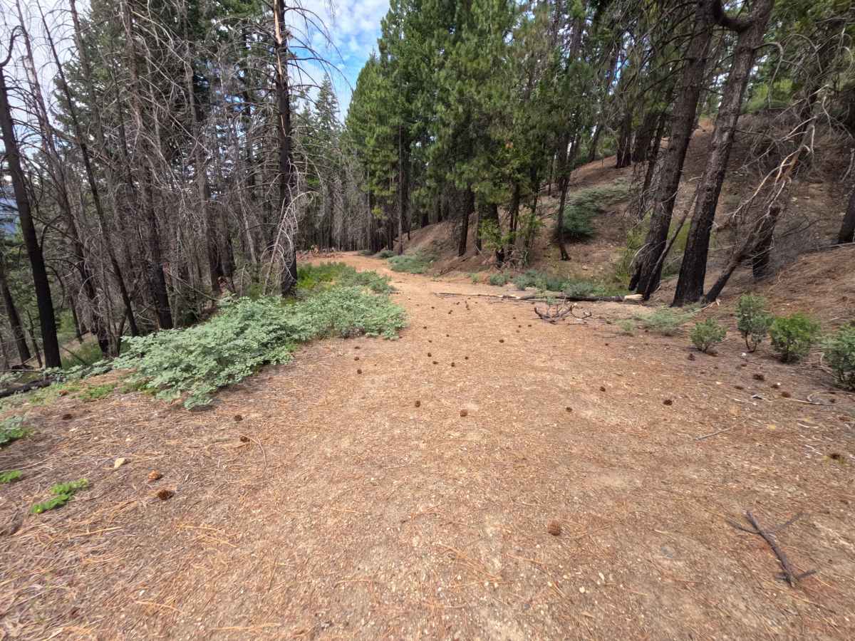 Estell Creek - FS 20N13 photo 6