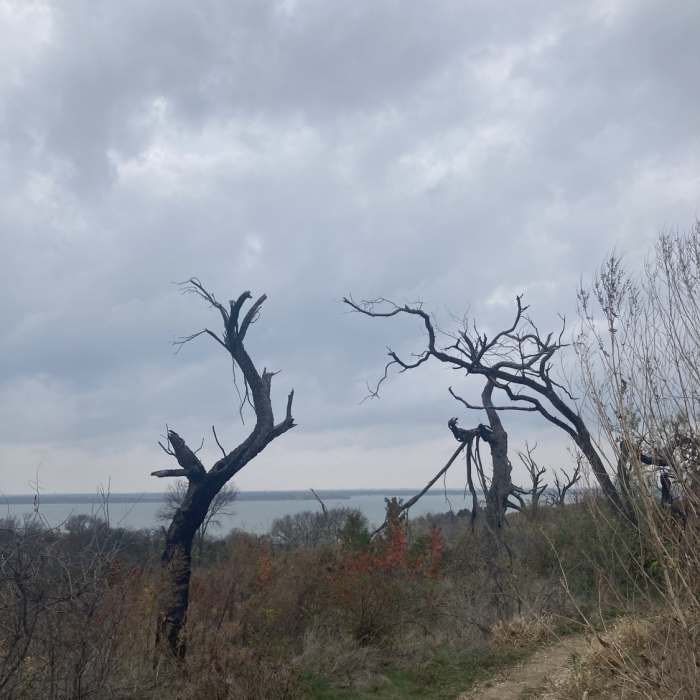 Near Talala Trail