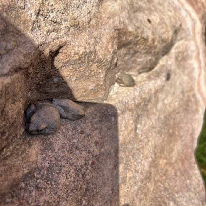 Near Ribbon Falls from Phantom Ranch Near Ribbon Falls from Phantom Ranch