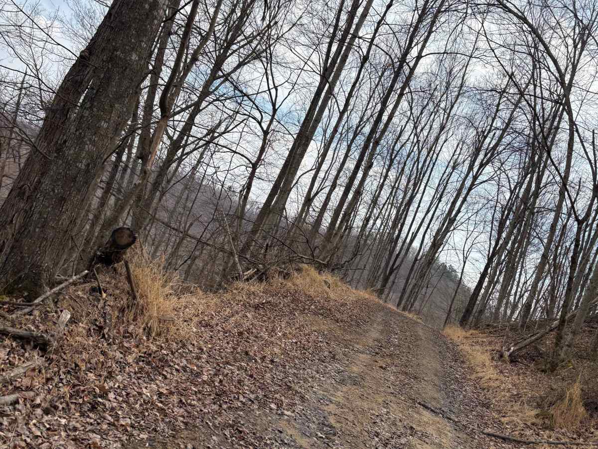 Trail 4 trail photo