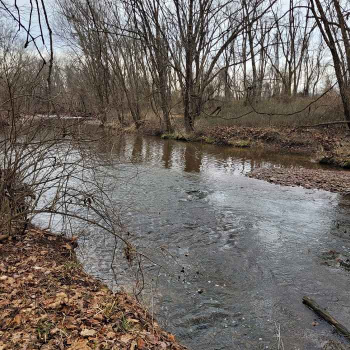 Near Stony Brook Trail