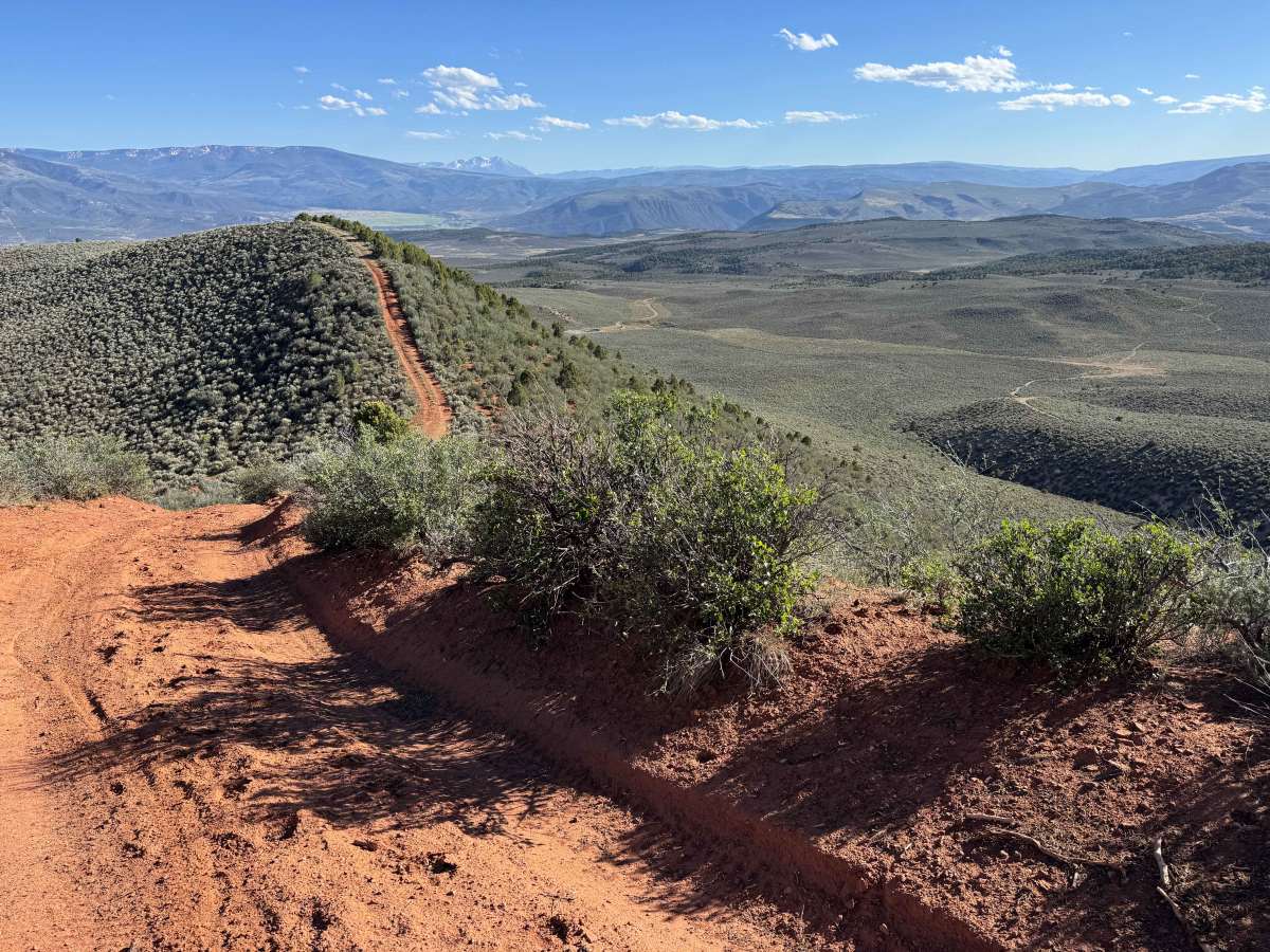 BLM 8485 photo 5