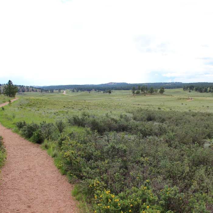 Near Scudder Pit Trail