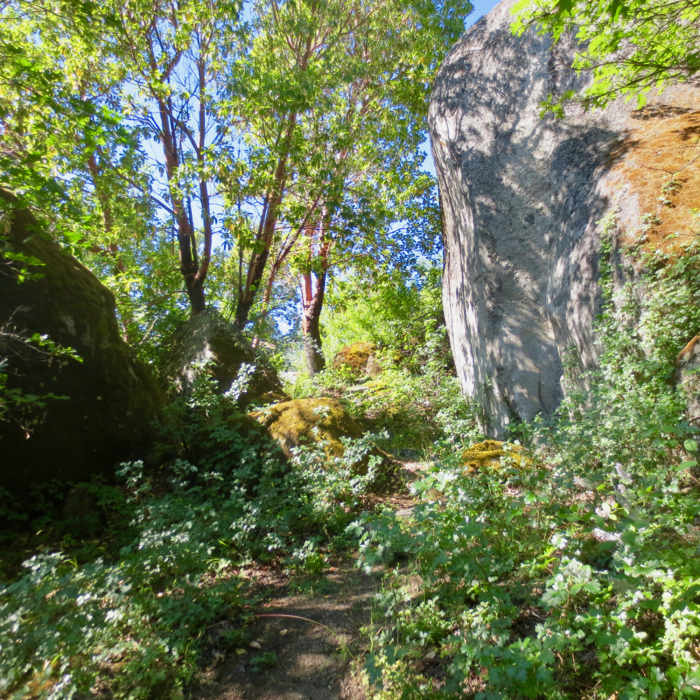 Near White Rabbit Trail