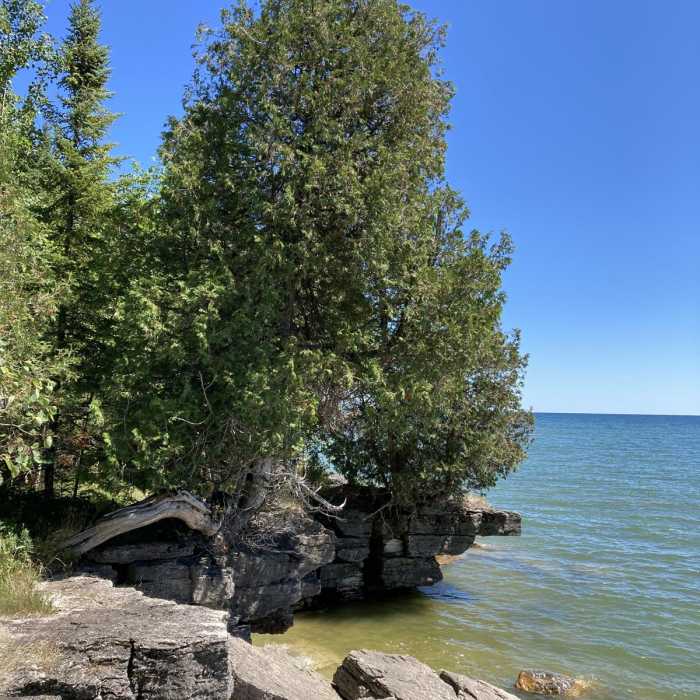 Near Lynd Point Trail Near Lynd Point Trail