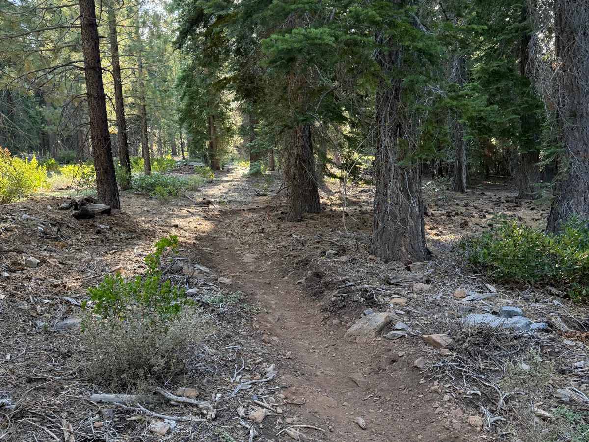 Boulder Dash photo 5
