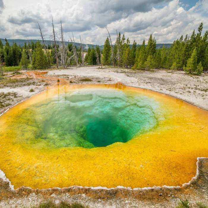 Near Upper Geyser Basin