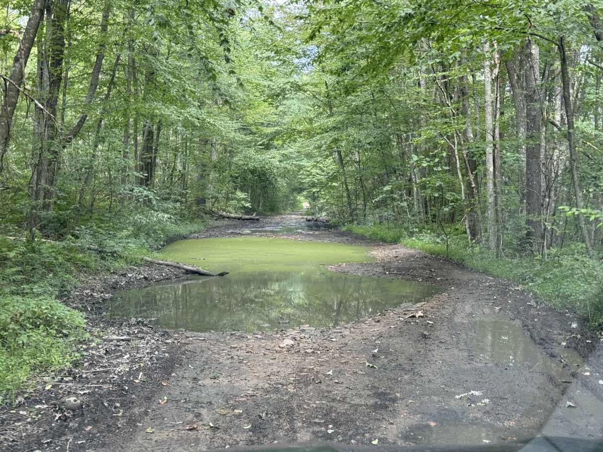 Beech Creek Access  photo 4