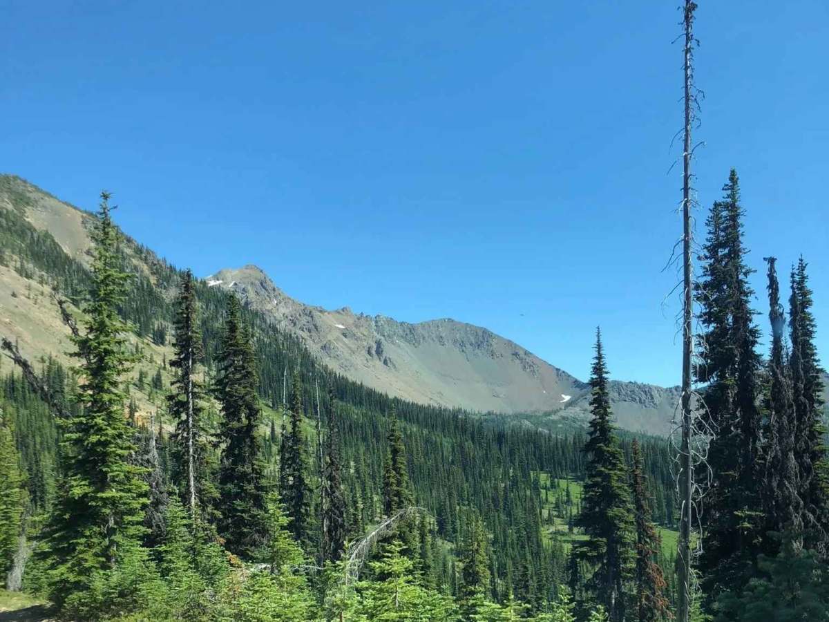 Upper Fortune Creek photo 5