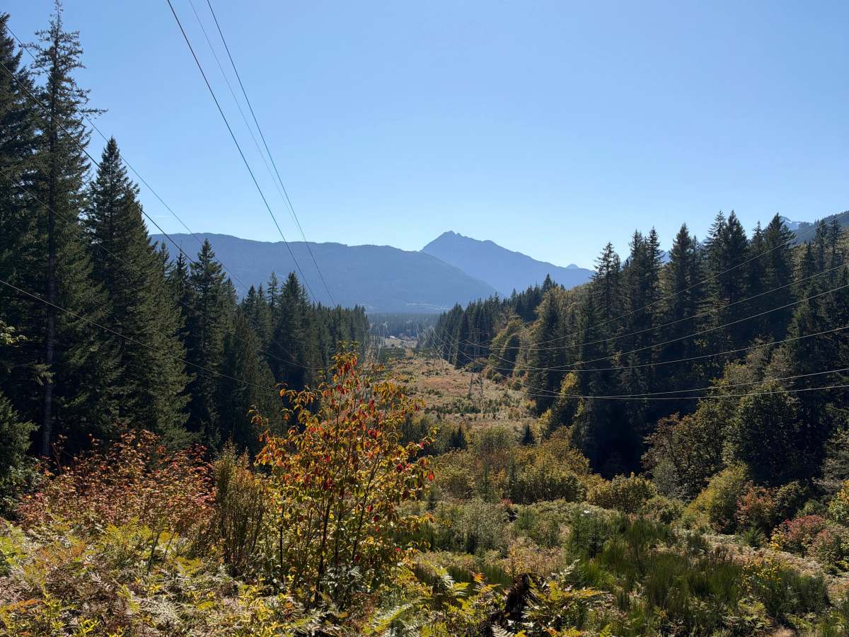 Powerline Vista photo 3