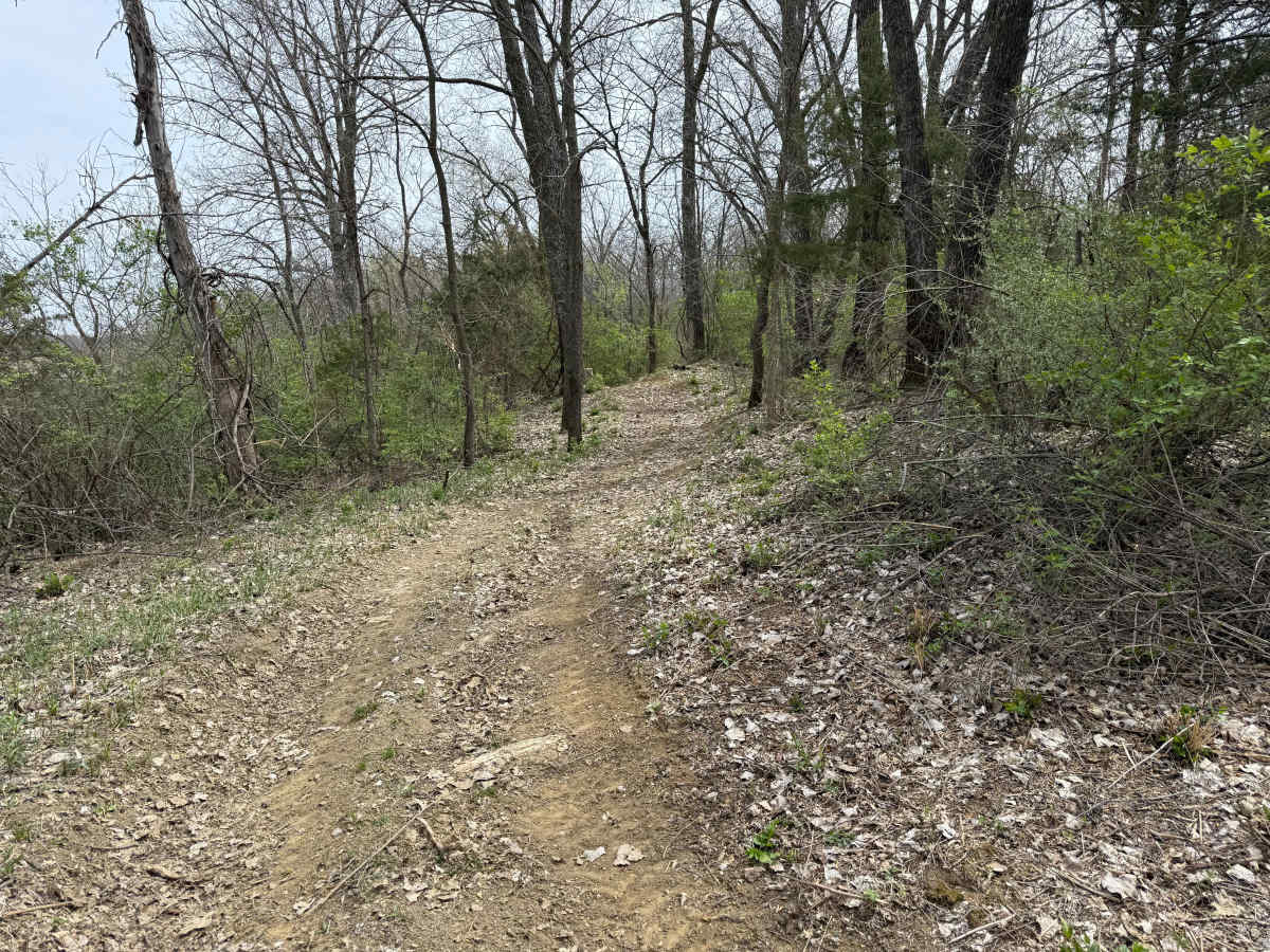 Trail #4 photo 5