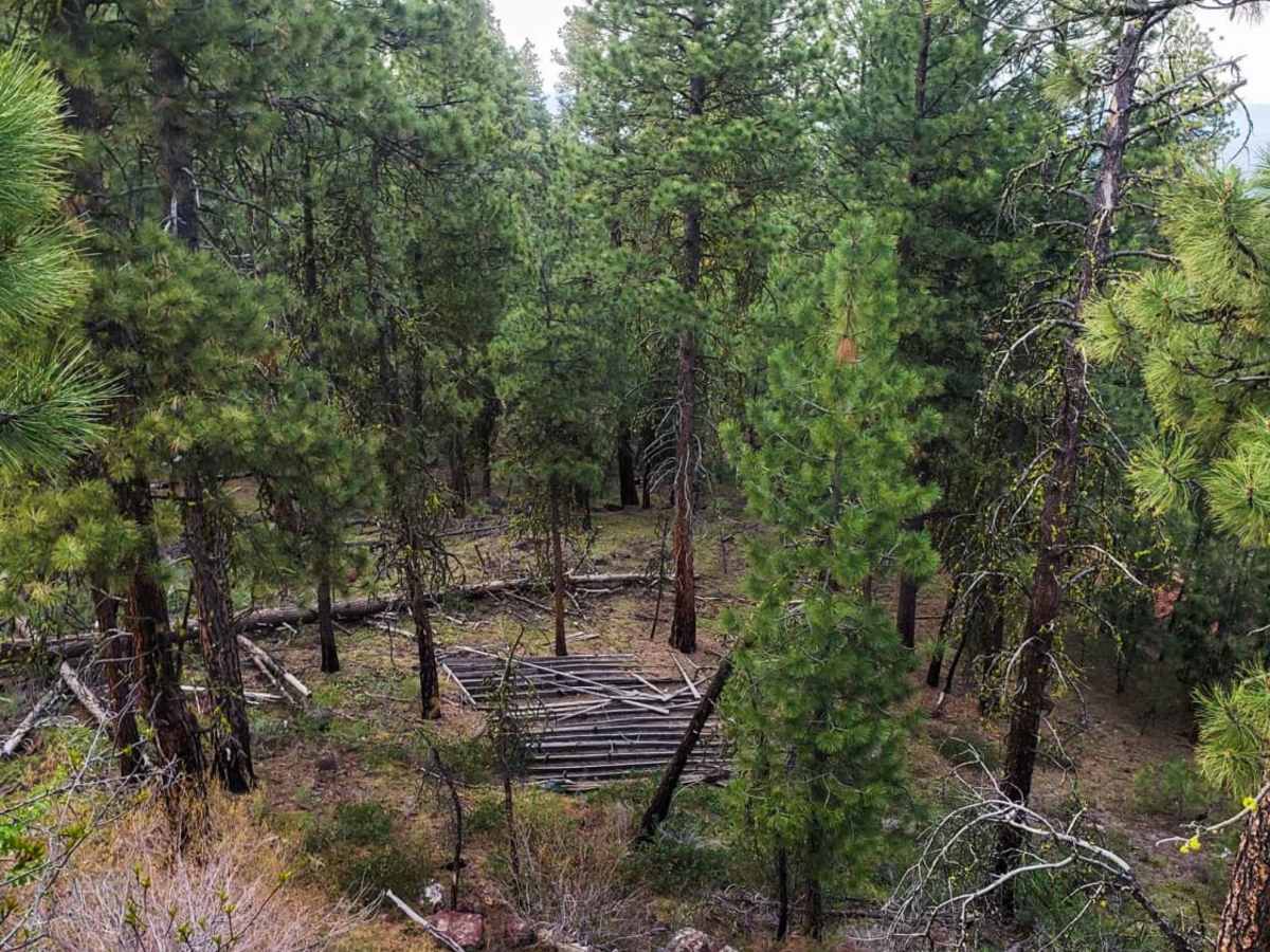 Bald Butte Lookout photo 5