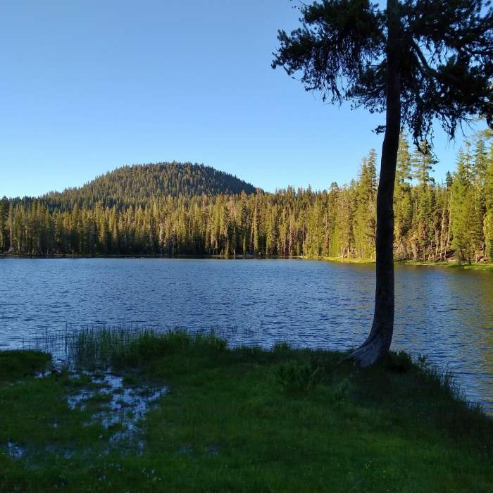 Near Summit Lake Amphitheater Trail