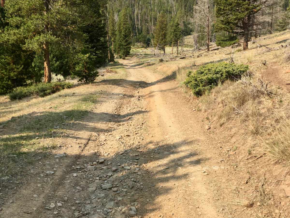 Sunnyside Road photo 6