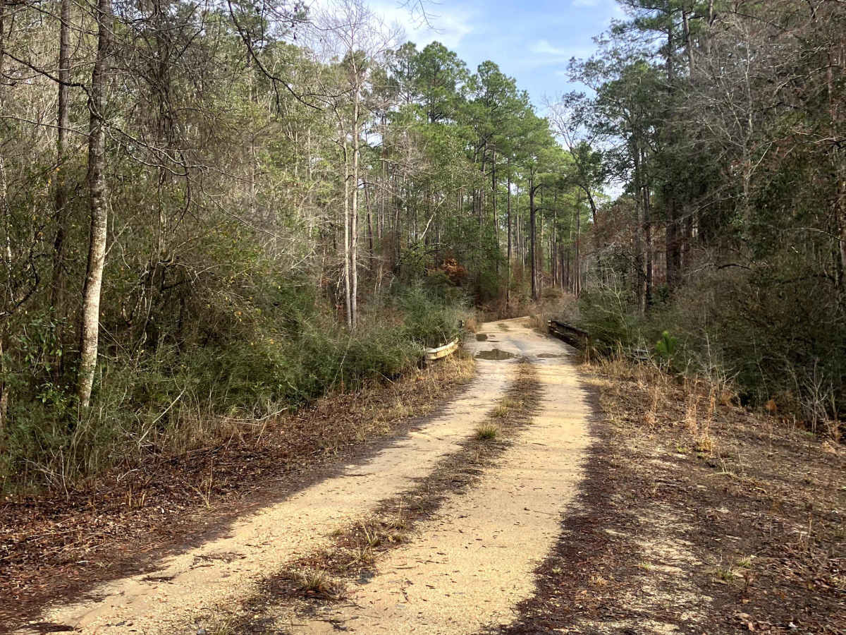 Boggy Hollow Road - FS 374 trail photo