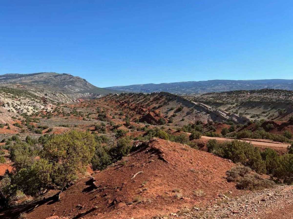 Crooked Creek Road trail photo