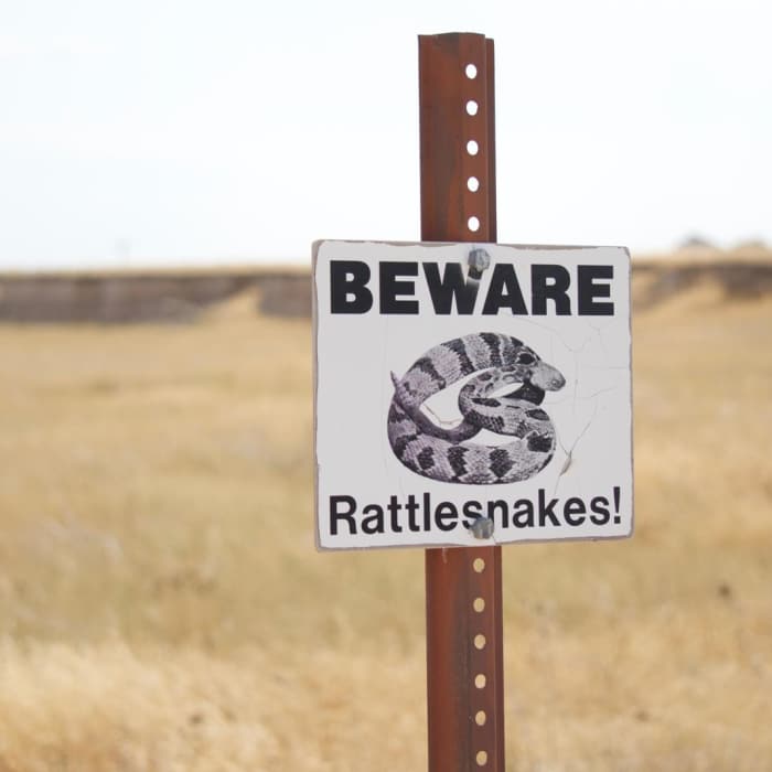 Near Badlands: Medicine Root/Castle/Saddle Pass Loop