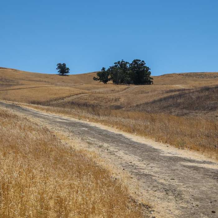 Near Laughlin Ranch Loop