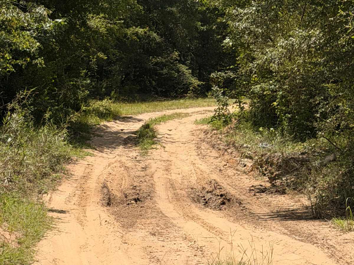 Buck Island Boat Ramp Trail photo 5