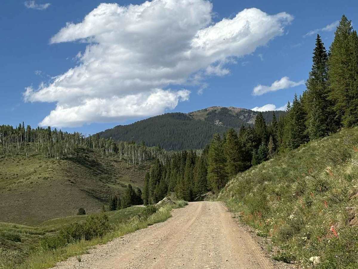 Crooked Creek Reservoir  photo 6