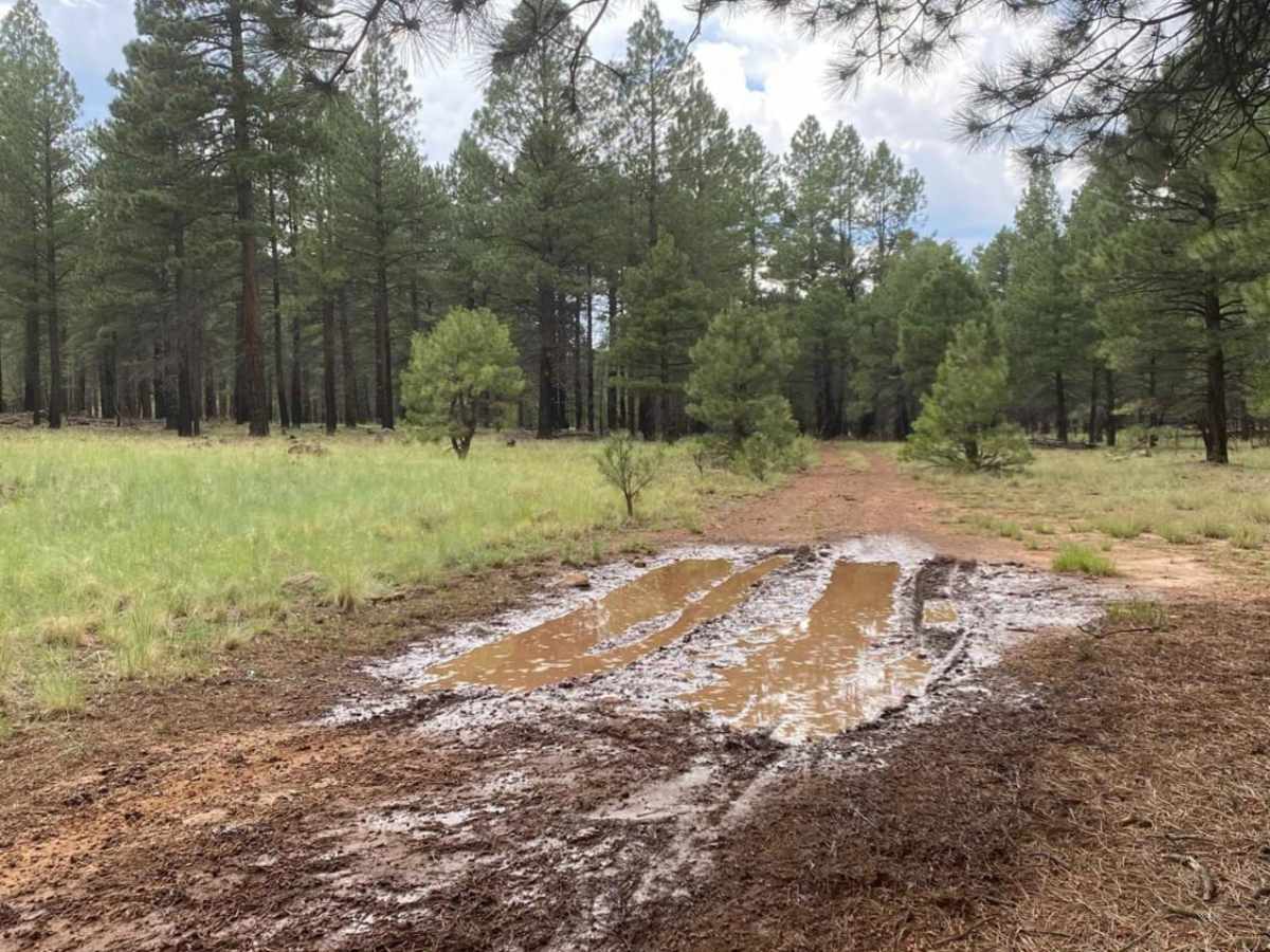 Red Clay Way photo 3