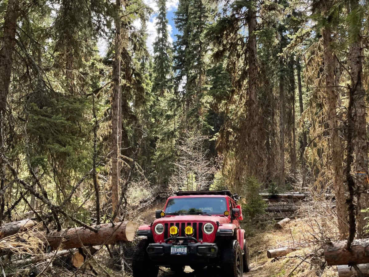 Woods Lake to Jimmy Lake trail photo