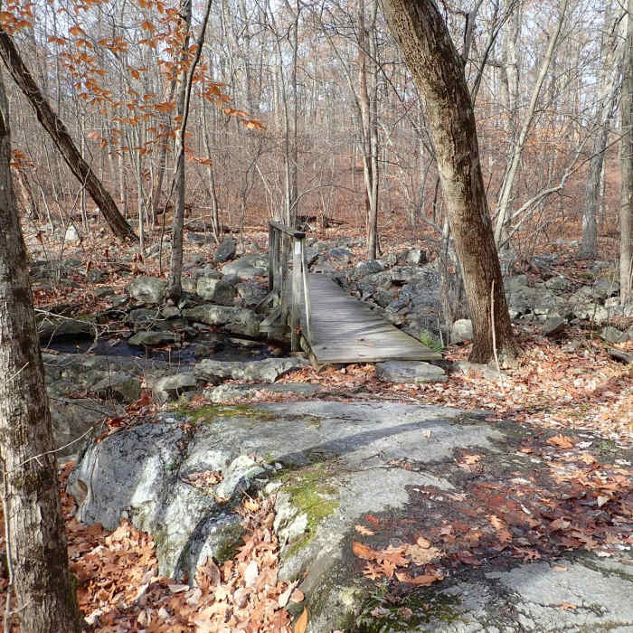 Near Appalachian Trail - Worthington State Forest Near Appalachian Trail - Worthington State Forest