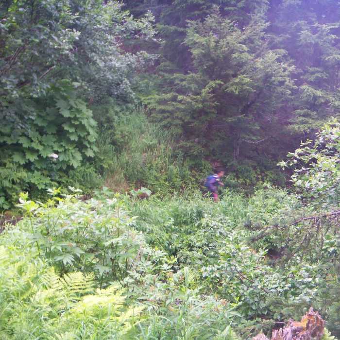 Near Crescent Creek Trail