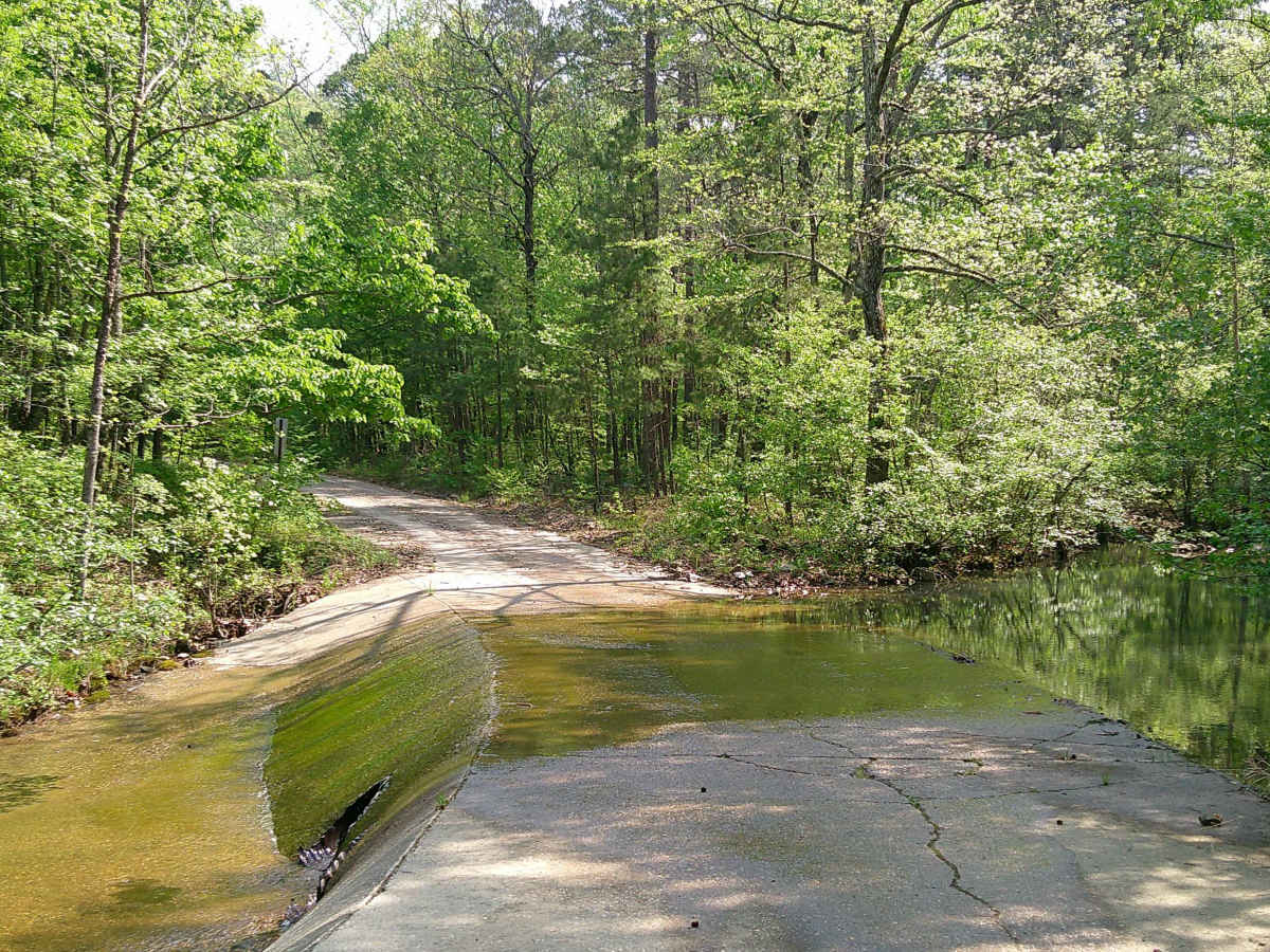 Bear Creek photo 5