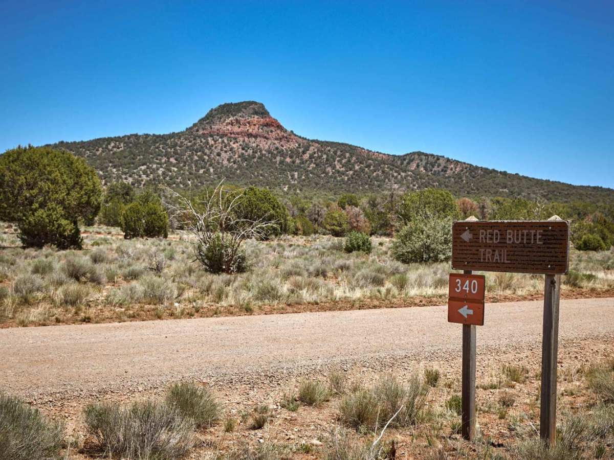 Red Butte Road trail photo
