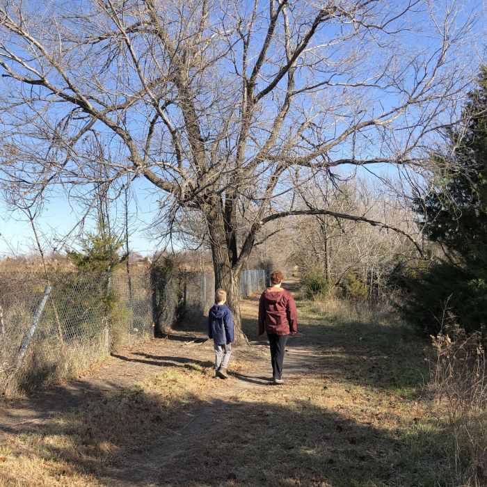 Walking the outer loop of the park on the north side. Looks like there used to be a trail through the woods in this section, but it is overgrown. Near North Chisholm Creek Park