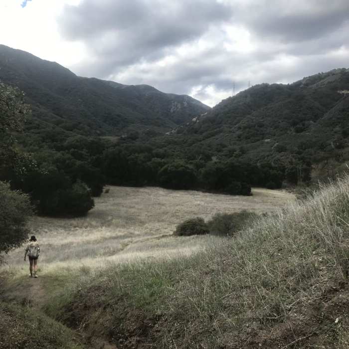 Near Blue Canyon Trail 26W12