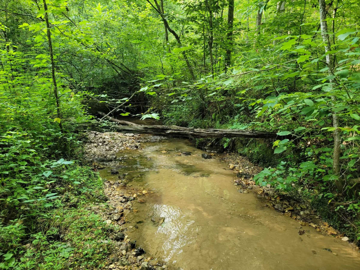 USFSR #515 Watts Mountainway East photo 5