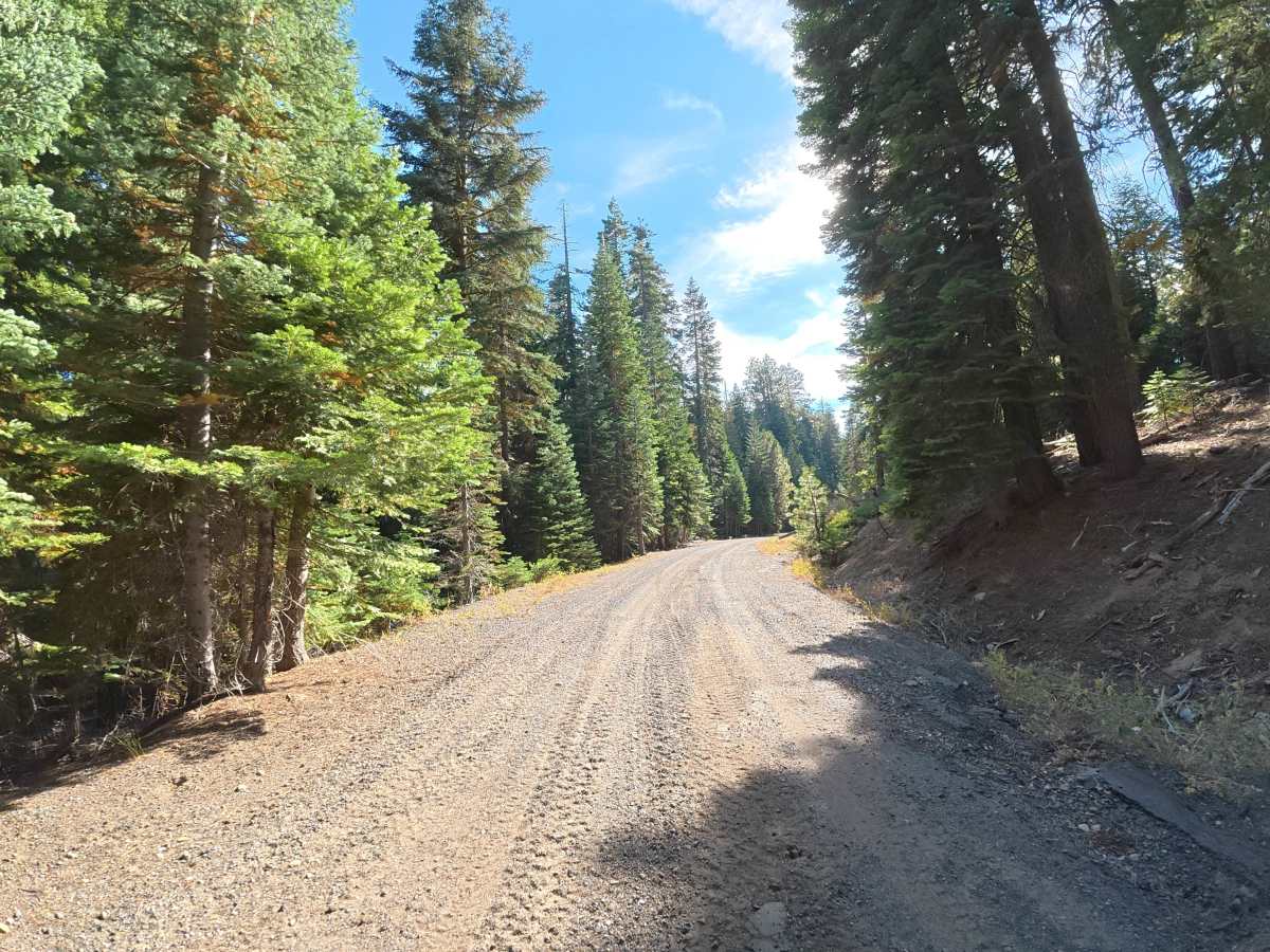 Big Rattlesnake Creek trail photo