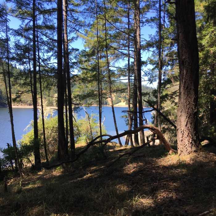 Near Rocky Ridge and Alpine Lake