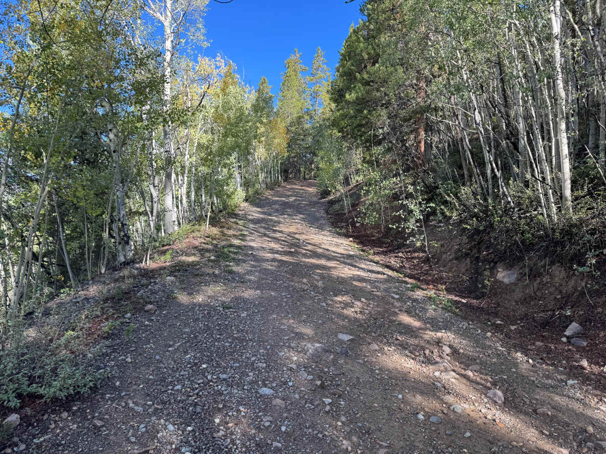 Gold Run Gulch Road photo 3