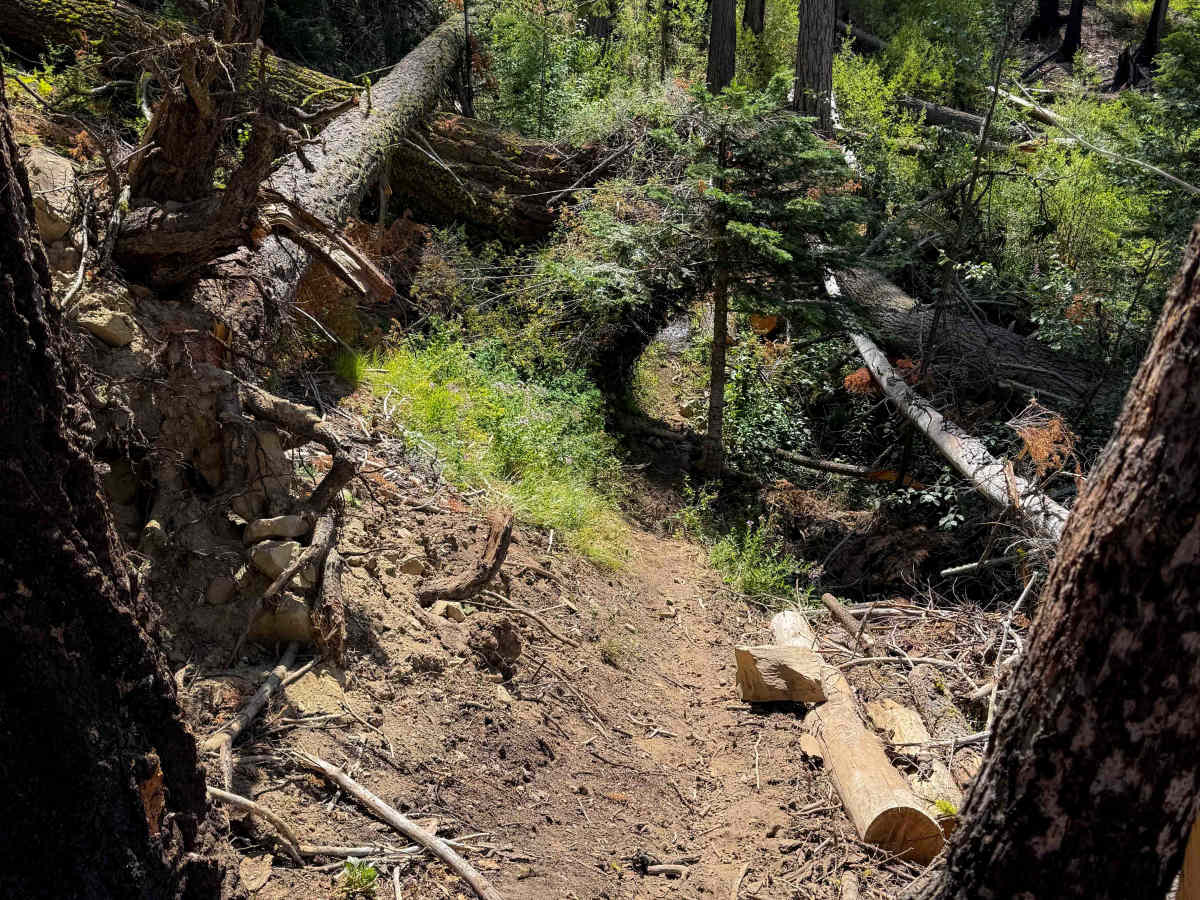 Tronsen Meadows - FS 1205 photo 4