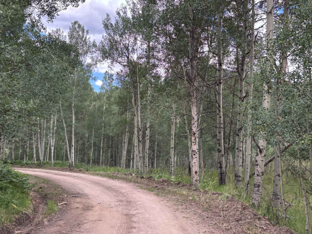 Nast Lake Access trail photo